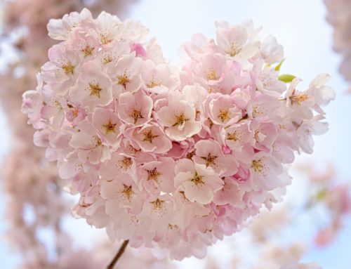 Heilerin der neuen Zeit